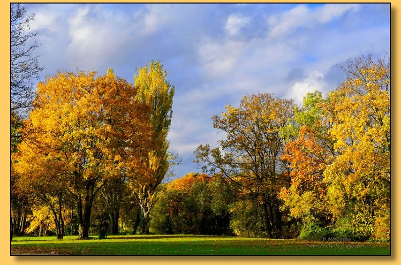 Automne